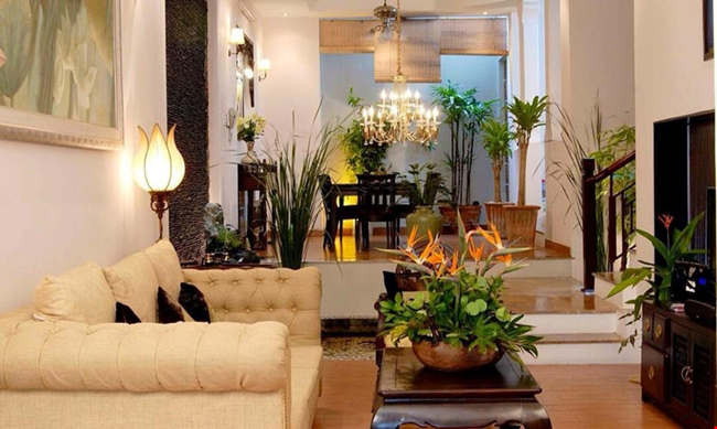 Không gian xanh điểm xuyết bên trong nhà để tạo môi trường sống trong lành.