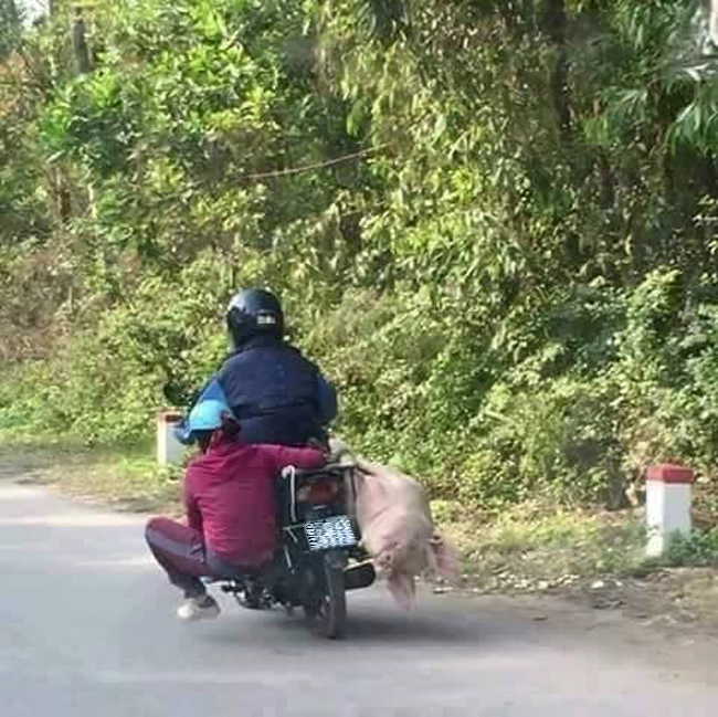 Em ngồi bên này cho &#34;cân xe&#34; ấy mà.