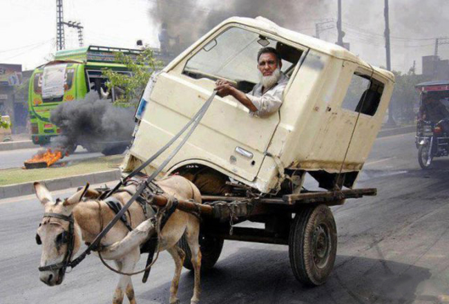 Bác nào đi &#34;taxi lừa&#34; lên đây em chở nào.