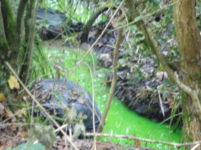 Anh: Suối bỗng chuyển màu xanh lá cây bí ẩn