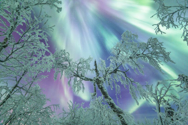 Mùa đông lạnh giá tạo ra cảnh tượng siêu thực, đẹp mê hồn tại vùng đất Lapland.