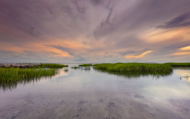 Hilton Head, South Carolina: Hòn đảo là thiên đường dành cho những người thích chơi golf và tắm biển. Ngoài ra, du kachs có thể tham gia hoạt động đạp xe khám phá, ngắm cảnh.