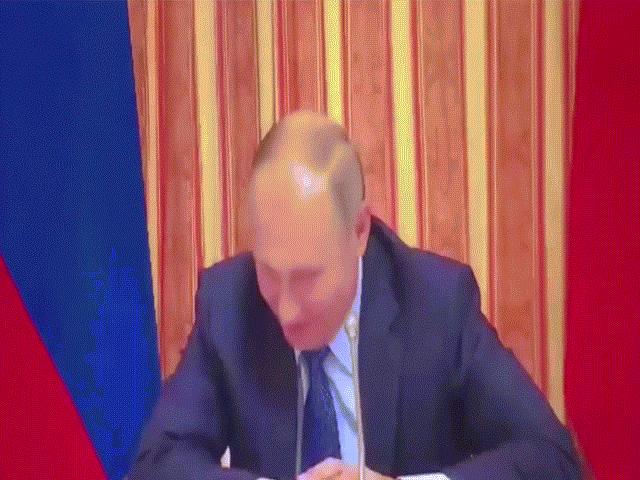 Putin ôm mặt cười khi bộ trưởng nói bán thịt lợn sang Indonesia