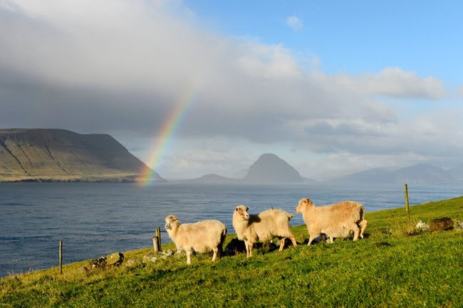 Quần đảo Faroe: Là một phần của Đan Mạch, quần đảo này là điểm đến lý tưởng dành cho du khách đam mê khám phá thiên nhiên hoang dã.