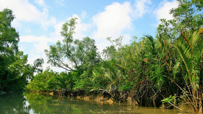 Sundarbans, Tây Bengal: Di sản Thế giới được UNESCO công nhận, Sundarbans là rừng ngập mặn lớn nhất trên thế giới hiện nay. Khu rừng này nằm trên đồng bằng ở cửa sông Ganges và kéo qua cả các vùng thuộc Tây Bengal cũng như Bangladesh.