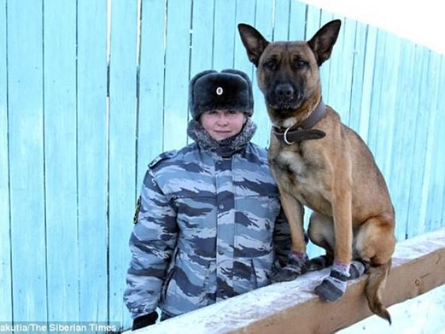 Chó 2,3 tỉ đồng làm ”cai ngục” ở nhà tù cẩn mật nhất Nga