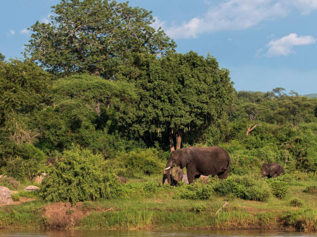 Malawi: Khi mọi người nghĩ về thiên nhiên hoang dã ở châu Phi, họ thường nhắc tới Botswana hay Uganda. Mặc dù vậy, Malawi là điểm khám phá thiên nhiên vẫn còn nguyên sơ với nhiều bãi biển đẹp dọc hồ Malawi.