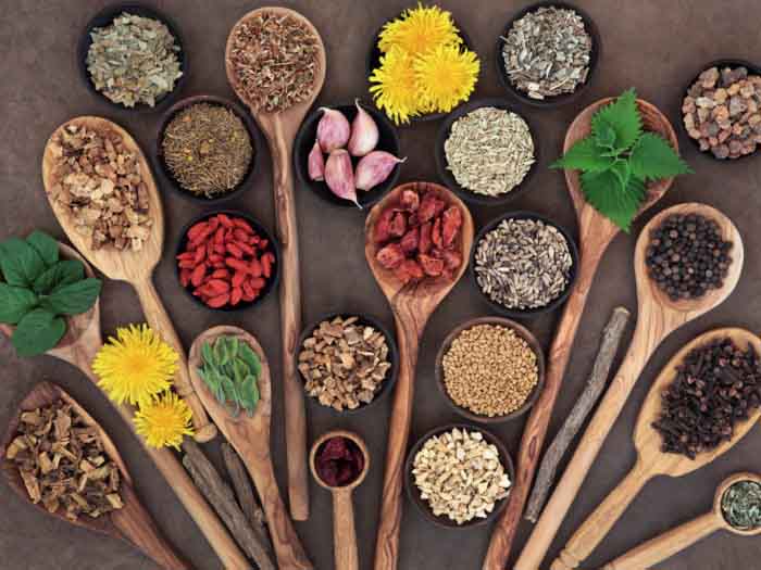 Làm sạch gan – Bạn đừng bỏ quên - 1