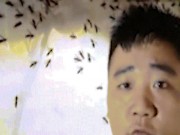 Phi thường - kỳ quặc - Dùng tay không vốc cả nắm ong bắp cày có thể đốt chết người