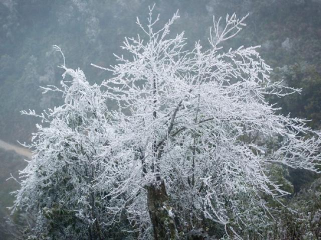 Tin tức trong ngày - Nóng 24h qua: Chuyên gia khí tượng dự báo điểm tuyết rơi vào mùa đông 2018