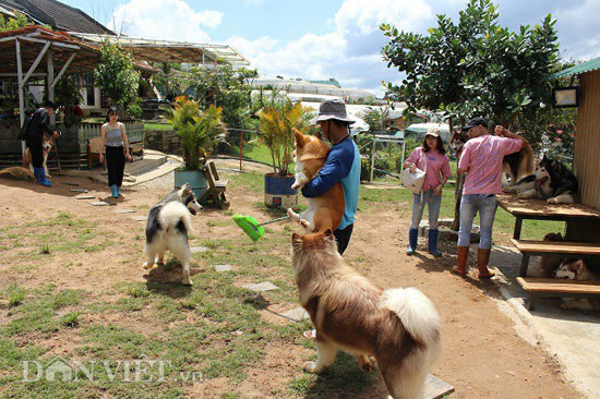 Mới 24 tuổi, 9X Đà Lạt đã sở hữu trang trại chó quý hàng tỷ đồng - 1