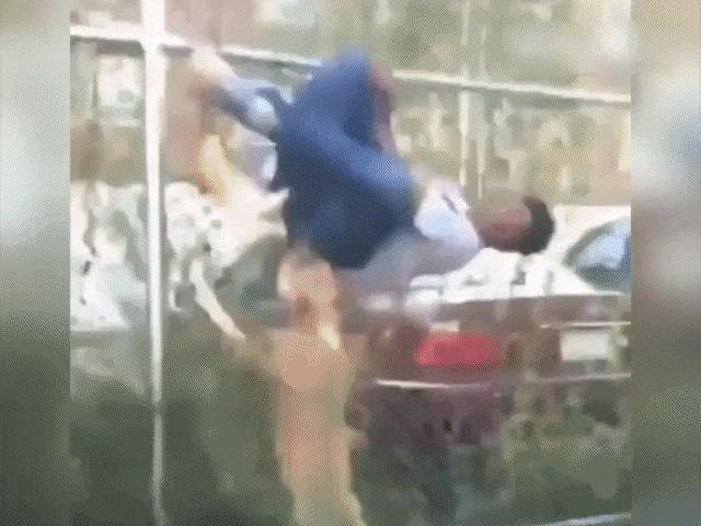 Video Clip Cười - Thanh niên trêu chó nhận cái kết siêu thốn