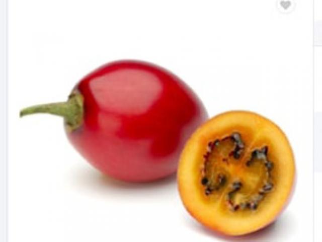 Thị trường - Tiêu dùng - Thực hư về loại cà chua có giá cả triệu đồng/kg?