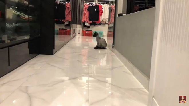 Thăm nhà vợ chồng Trấn Thành, Hari Won, phát hiện điều bất ngờ trong phòng ngủ - 5