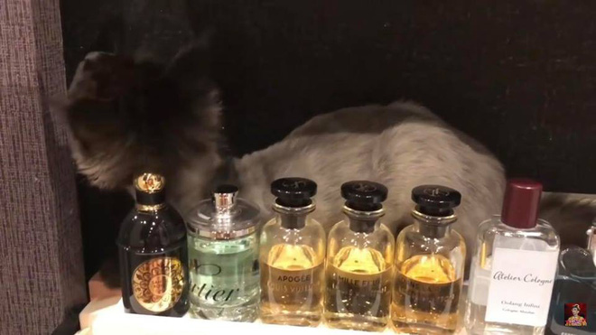 Thăm nhà vợ chồng Trấn Thành, Hari Won, phát hiện điều bất ngờ trong phòng ngủ - 7