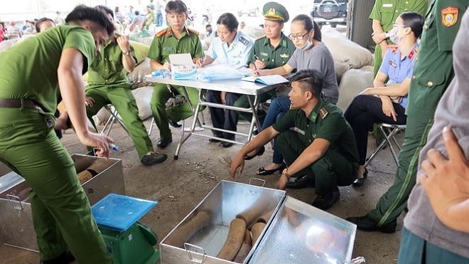 8 tấn ngà voi, vảy tê khai báo là phế liệu nhập về Đà Nẵng - 1