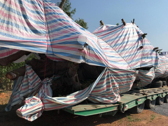 Bắt cây "quái thú" lọt nhiều trạm CSGT miền Trung - 2