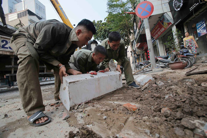 Hà Nội: Cây đa cổ thụ trước cổng đền bất ngờ bật gốc giữa trưa nắng - 4