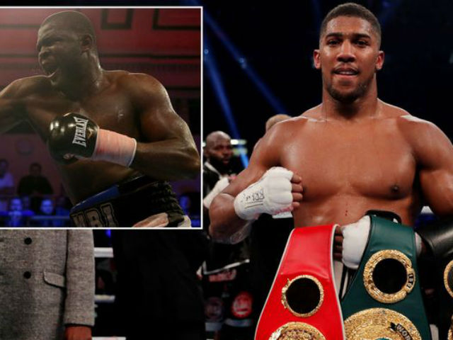 Thể thao - Tin nóng võ thuật 7/10: Võ sĩ mới nổi thách thức Quyền vương Joshua