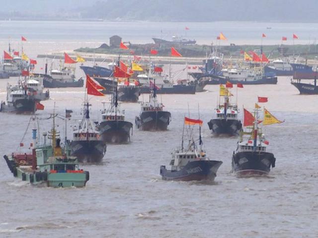 Thế giới - "Siêu tàu" Trung Quốc vét sạch cá thế giới