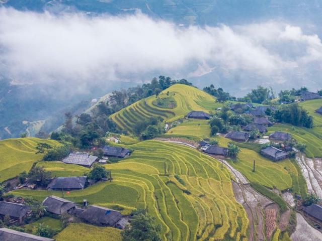 Ngỡ ngàng vẻ đẹp ruộng bậc thang Hoàng Su Phì mùa lúa chín