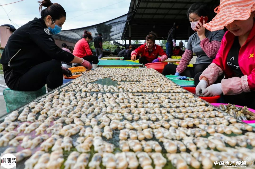 Ngồi lột vỏ thứ này mỗi ngày, đút túi ngay tiền triệu - 2