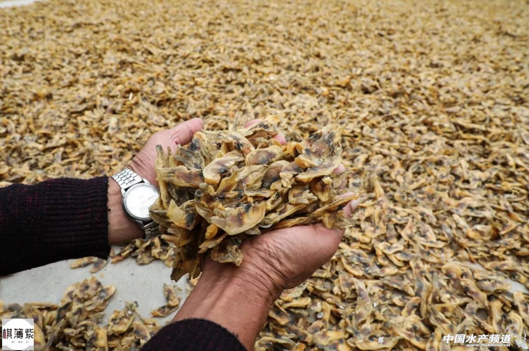 Ngồi lột vỏ thứ này mỗi ngày, đút túi ngay tiền triệu - 4