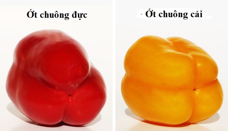 Bà nội trợ thông minh phải biết 10 bí quyết chọn trái cây siêu sạch này - 3