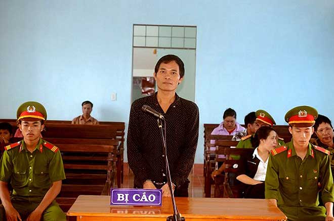 Lãnh 7 tháng tù vì "cột"… con bò vào gốc cây - 2