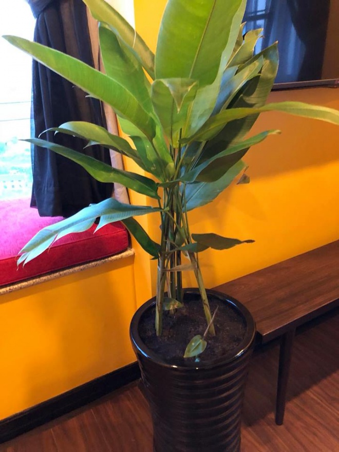 Căn nhà nhiều góc "sống ảo" của Phạm Anh Khoa sau scandal chấn động - 7