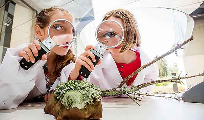 Nhấn vào ảnh để phóng to 9 mẹo giúp những đứa trẻ lười biếng nhất cũng phải thích học - 4