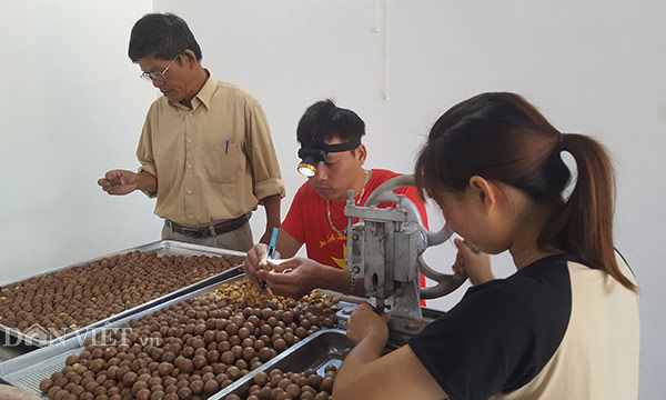Làm giàu khác người: Chuyện về “ông trùm&#34; cây &#34;tỷ đô” ở xứ Lạng - 7