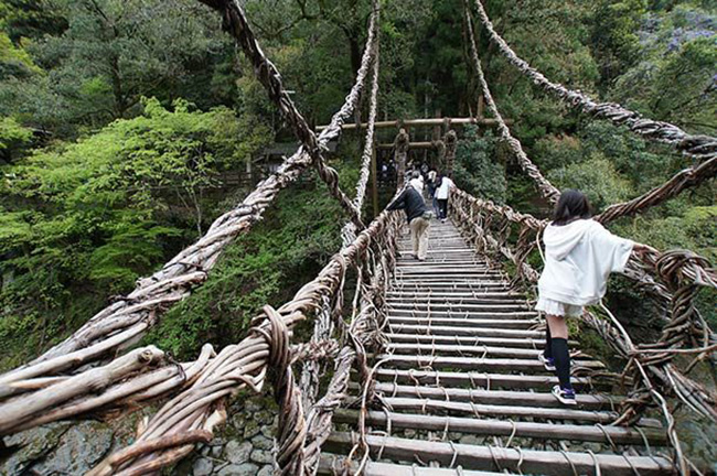 Cầu Iya Kazurabashi, Nhật Bản: Không ai biết người đã xây dựng cầu Iya Kazurabashi nhưng có vẻ chúng được xây dựng cho mục đích cụ thể là dễ dàng cắt đứt cây cầu này để kẻ thù không thể đi trên cầu được.