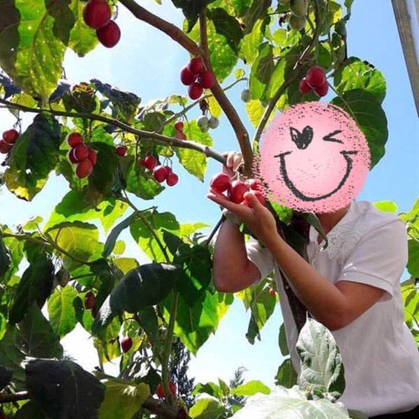 Ya Suy và cuộc sống không lo nghĩ về tiền sau scandal với fan nữ - 8