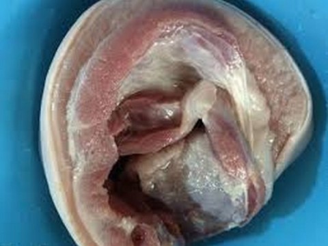 Thịt ba chỉ hấp kiểu này ăn mãi không chán - 1