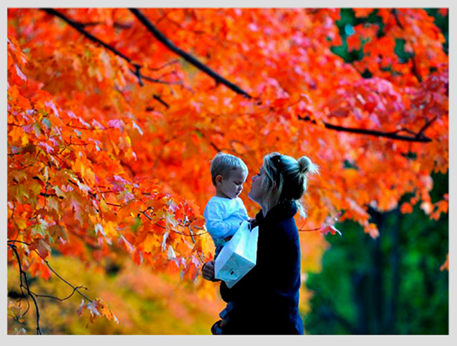 Một người phụ nữ đang ôm bé đang đứng dưới một cây phong vào một ngày cuối thu ở Central Park ở New York, Hoa Kỳ.