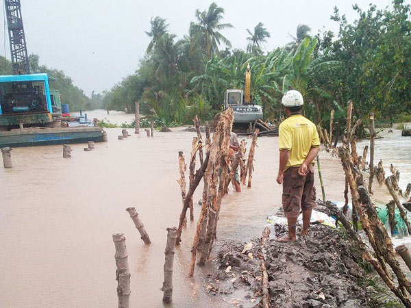 Khóc ròng vì sầu riêng đặc sản chết khô hàng loạt - 6