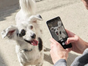 Thời trang Hi-tech - Google vỗ ngực giương oai Pixel 3, dìm hàng máy ảnh iPhone Xs