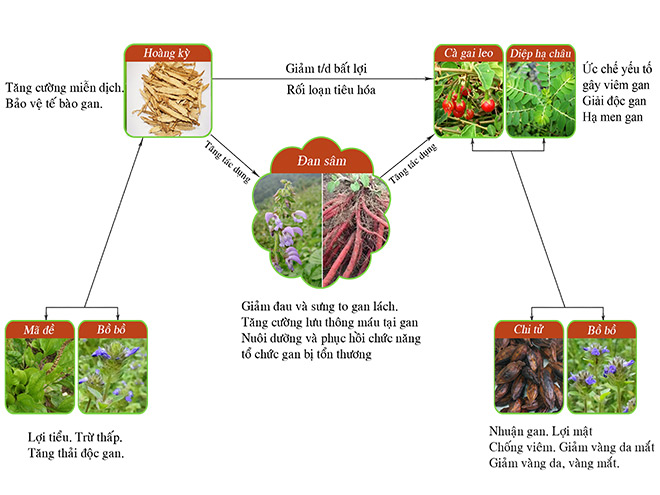 Bệnh viêm gan B là gì? Cách ngừa bệnh hiệu quả - 2