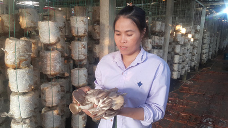 Nam Định: Mỗi năm kiếm hơn nửa tỷ nhờ trồng nấm sạch - 1