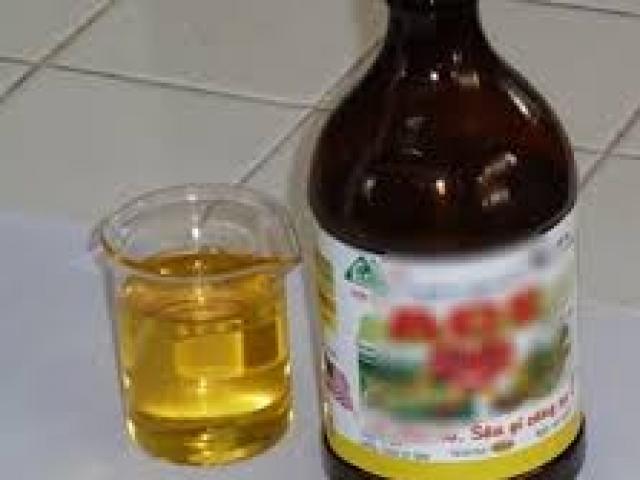 Pháp luật - Buồn chồng ly hôn, nữ giáo viên cho con uống thuốc diệt cỏ