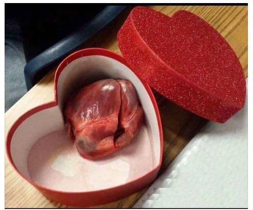 Loạt quà 20.10 cực độc khiến mạng xã hội "sốt xình xịch" - 3