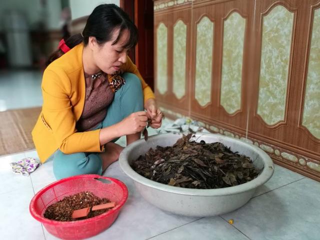 Tin tức trong ngày - "Thủ phủ" sưa đỏ miền Bắc đổi thay chóng mặt sau cơn "bão sưa"