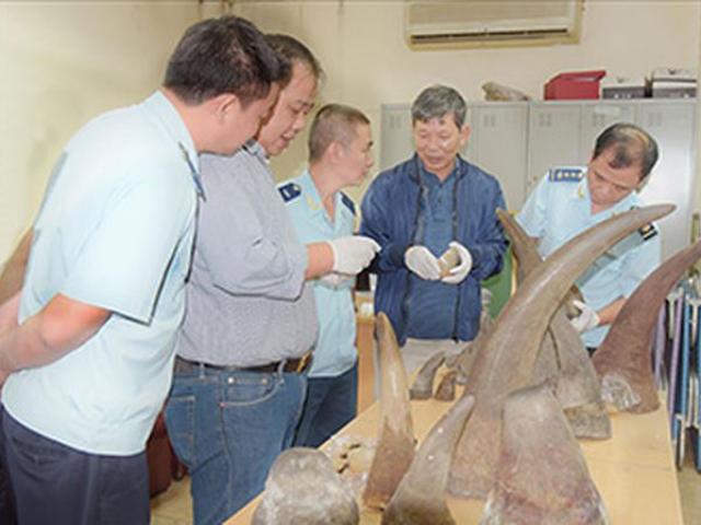 Thị trường - Tiêu dùng - Buôn lậu 'khủng' ngà voi, sừng tê giác: Lọt lưới chủ hàng?