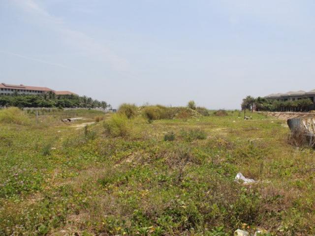 Tin tức trong ngày - Đà Nẵng thu hồi dự án ven biển của Vũ "nhôm"