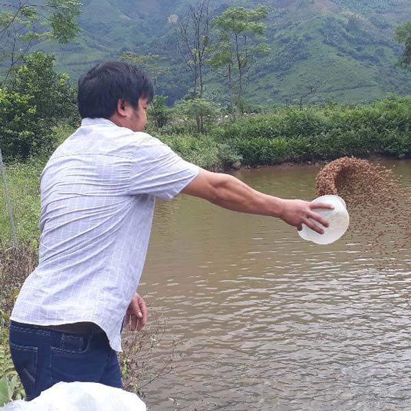 Đào ao thả cá giữa thung lũng hoang vắng, lãi hơn 300 triệu/năm - 4