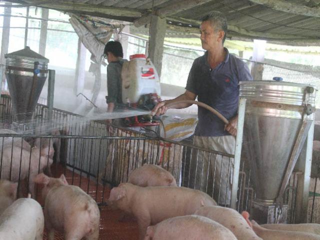 Thị trường - Tiêu dùng - Nuôi đủ thứ con, trồng đủ thứ cây trên đất cằn, lãi nửa tỷ/năm