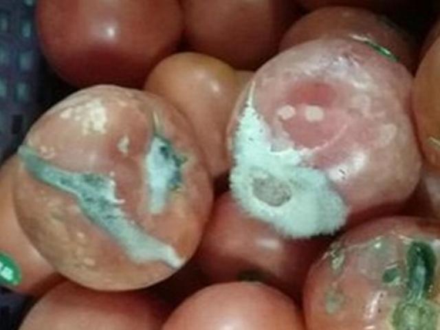 Giáo dục - du học - Cho con học trường 400 triệu/năm, phụ huynh sốc nặng khi phát hiện sự thật trong bếp ăn