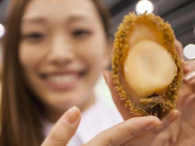 Thế giới - Người TQ “thèm khát” bào ngư, thợ lặn Nam Phi liều mạng săn tìm