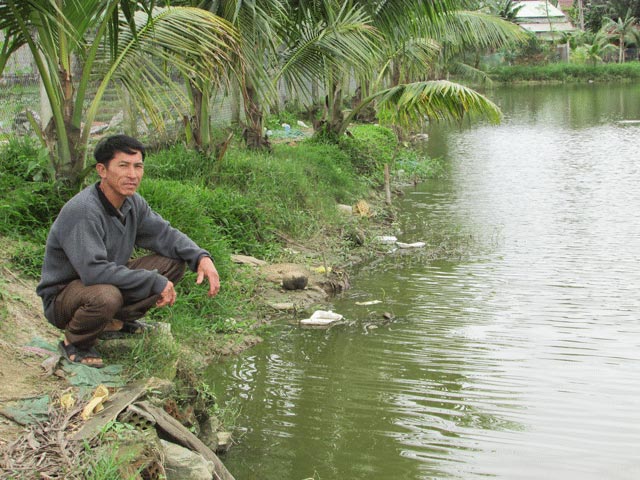Làm giàu nông thôn: Bỏ lúa, đào ao nuôi cá, lãi 300 triệu/năm - 4